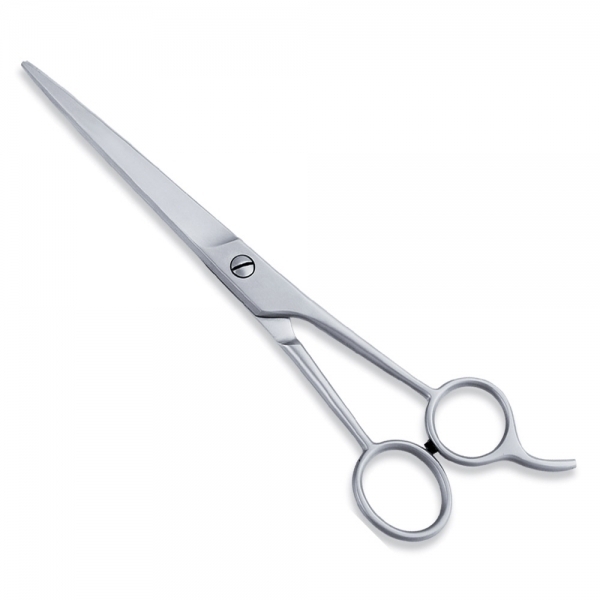 ECONOMY HAIR SCISSORS